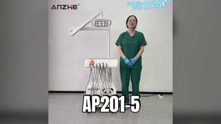 Panda Version Mobile Veterinary Dental Treatment Station AP201-5 with 8 Lights |-Εισαγωγή προϊόντος
