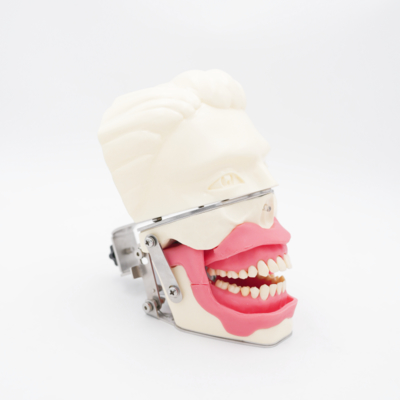 Προσομοιωτής Στοματικής Αναισθησίας Ρεαλιστικής Ούλων και Σαγονιού για Εξάσκηση Ενέσεων, Μοντέλο Οδοντιατρικής Αγωγιμότητας Αναισθησίας