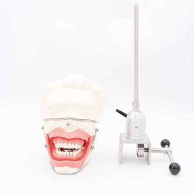 Οδοντιατρική Σχολή Αναισθησίας Εκπαίδευση Ενέσιμης Αναισθησίας Μοντέλο Εκχύλισης Ορθολογική Αναισθησία Συστήματος προσομοιωτή