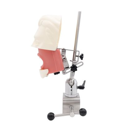 Εκπαιδευτική Μονάδα Οδοντιατρικού Προσομοιωτή Σχολής Οδοντιατρικής Σύστημα Εξάσκησης Προσομοίωσης Κεφαλής Φαντάσματος Οδοντικού Εμφυτεύματος