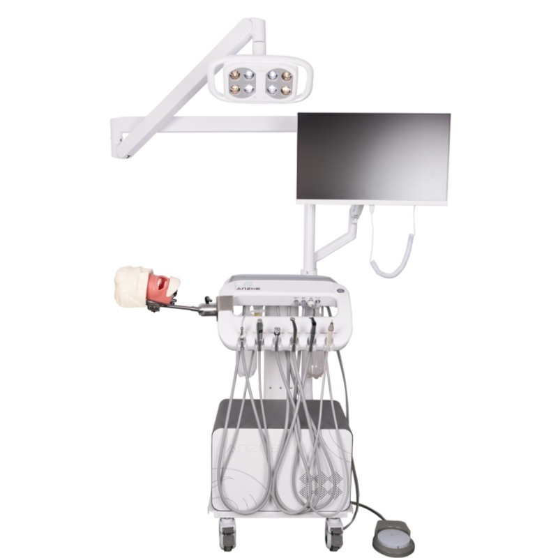 Οδοντιατρική Σχολή Αναισθησίας Εκπαίδευση Ενέσιμης Αναισθησίας Μοντέλο Εκχύλισης Ορθολογική Αναισθησία Συστήματος προσομοιωτή