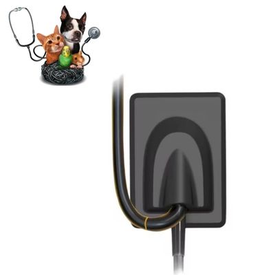 Καλή τιμή. Κτηνιατρικό οδοντιατρικό εξοπλισμό Ψηφιακό σύστημα απεικόνισης ακτίνων Χ σε απευθείας σύνδεση