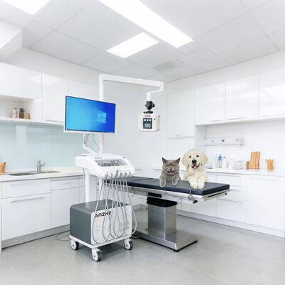 Καλή τιμή. Φορητή μονάδα οδοντιατρικής θεραπείας με ενσωματωμένο ακτίνα Χ και κινητό οδοντιατρικό καρότσι PC με σύστημα αναρρόφησης αεροσυμπιεστή σε απευθείας σύνδεση