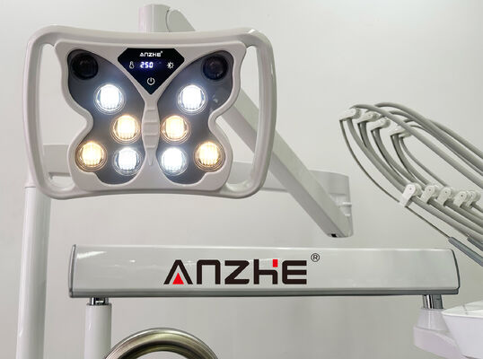 Επαγγελματική κτηνιατρική οδοντιατρική μονάδα θεραπείας με σιωπηλό συμπίεστη αέρα 32L και συσκευή οργάνων 5 φορέων σε ανοξείδωτο χάλυβα 304