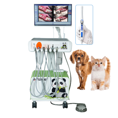 HD Oral Camera Veterinary Dental Workstation All-in-One PC Win10 Mobile Vet Dental System Πλήρης κτηνιατρική οδοντιατρική λύση Plug & Play