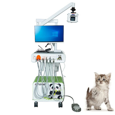 Καλή τιμή. Γνήσιος Factory Veterinary Digital Intraoral Sensor Plug-and-Play Πλήρως εξοπλισμένος ακτινογραφία υψηλής ανάλυσης για κλινικές κατοικίδιων ζώων σε απευθείας σύνδεση