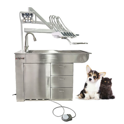Factory Direct Veterinary Dental Unit with LED Whitening Lamp 32L Oil Free Compressor Inox All in One Veterinary Dental Workstation