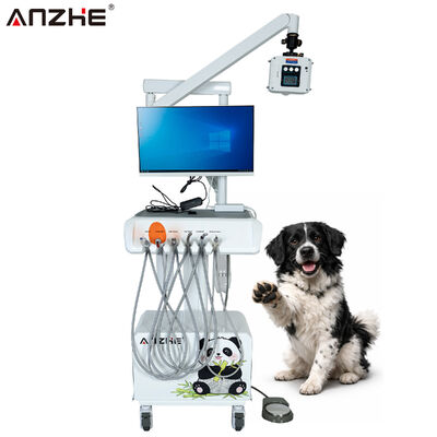 Integrated Veterinary Dental Workstation with Digital X Ray Sensor HD Oral Camera and All In One Computer