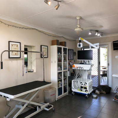 Καλή τιμή. 550W κτηνιατρικός οδοντιατρικός σταθμός εργασίας με πίεση 0,8Mpa και ήχο 58DB για κτηνιατρικές οδοντιατρικές κλινικές online
