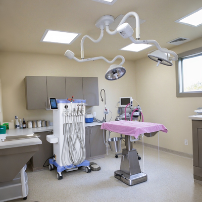 550W Portable Veterinary Dental Cart with 0.8Mpa Pressure and 38DB Noise for Animal Dental Workstation